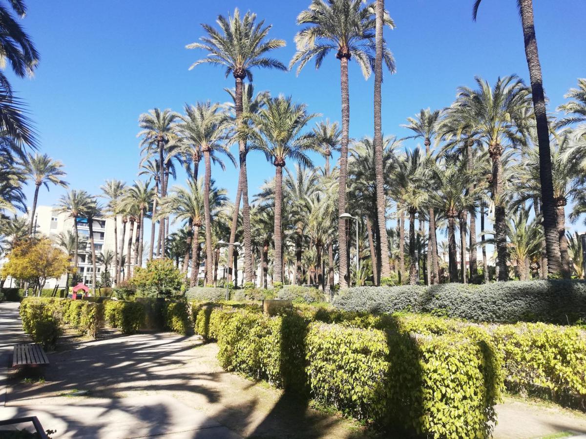 Santa Pola Salamanca 10 Apartamento, Garaje Subterraneo, Fibra Optica, Lavavajillas, Aire Acondicionado, Gran Terraza, Grand Playa 450M Luaran gambar